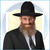 Picture of Rabbi Levi Langer.